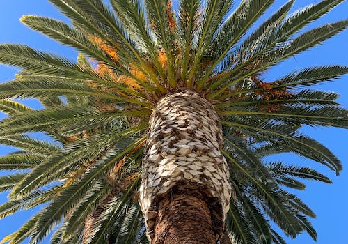 cleaning services Glendale